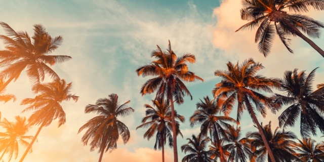Poshmark banner for @gabri